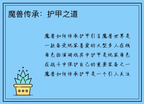 魔兽传承：护甲之道