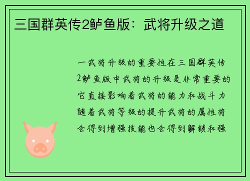 三国群英传2鲈鱼版：武将升级之道